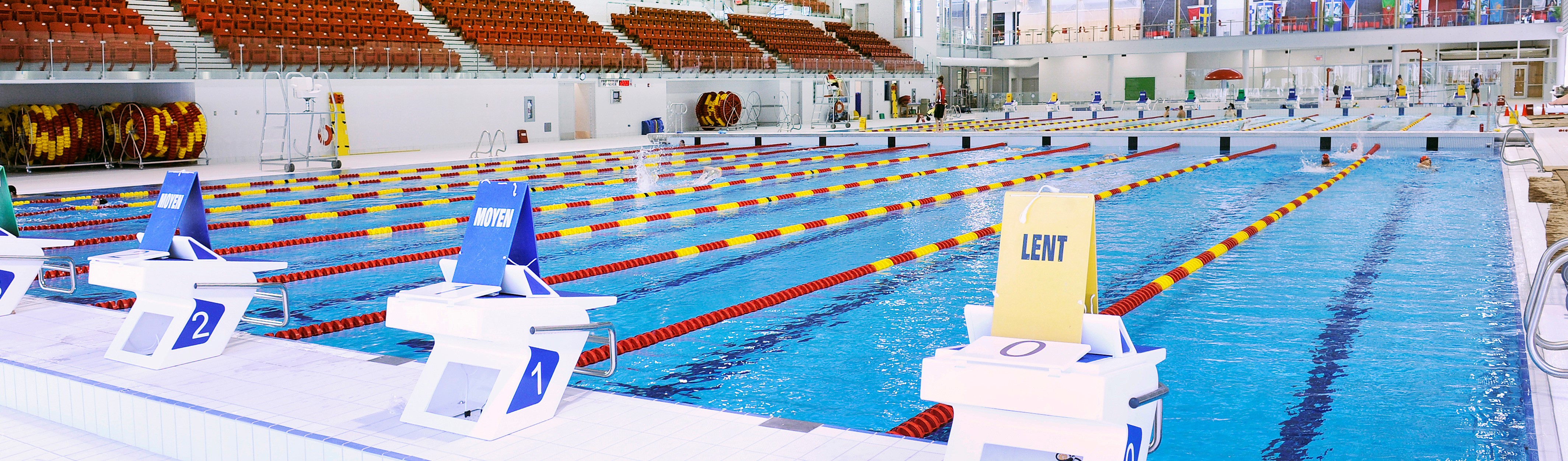 piscine olympique