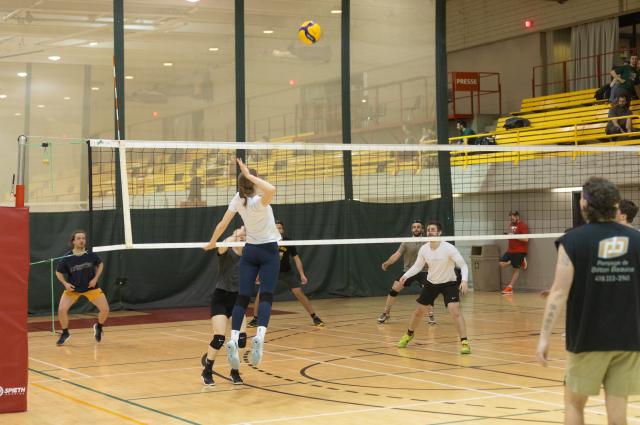 Volleyball